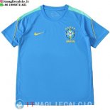 Thailandia Maglia Brasile Speciale 2026 Blu I Verde