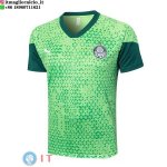 Formazione Maglia Palmeiras 2025/2026 Verde