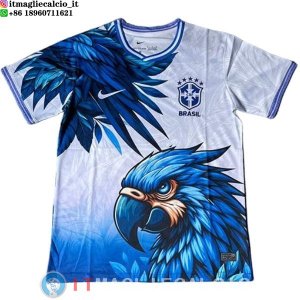 Thailandia Maglia Brasile Speciale 2026 Blu Bianco