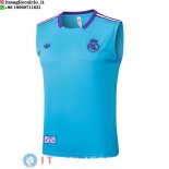 Senza Maniche Maglia Real Madrid 2025/2026 Blu Purpureo
