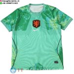 Thailandia Maglia Paesi Bassi Portiere 2026 Verde