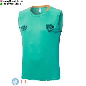 Senza Maniche Maglia Fluminense 2025/2026 Verde