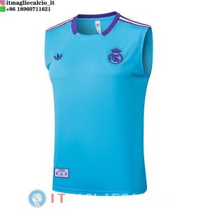 Senza Maniche Maglia Real Madrid 2025/2026 Blu Purpureo